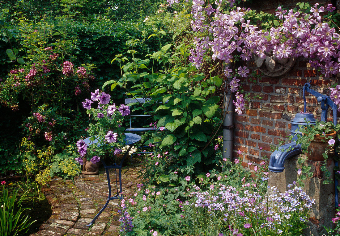 Small seating area with clematis (woodland vine) against the house wall, pots with petunia (petunia) and perennials, swan pump, table and chair, rose and alchemilla (lady's mantle) in the bed