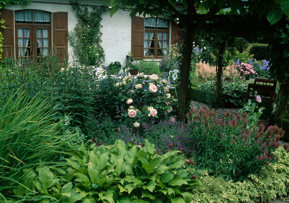 Perennial bed with Hosta (Funkie), Nepeta (Katzenminze), Rosa (Rosen), Trifolium rubens (Purpur-Klee), Veronicastrum (Kandelaber-Ehrenpreis), terrace at the house with green pergola