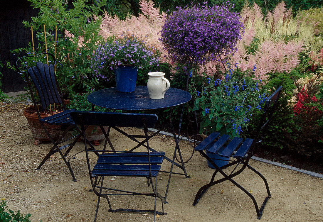 Blaue Sitzgruppe mit Lobelia (Männertreu) und Salvia patens (Mexikanischem Salbei) in Töpfen, Astilbe arendsii (Prachtspieren) im Beet