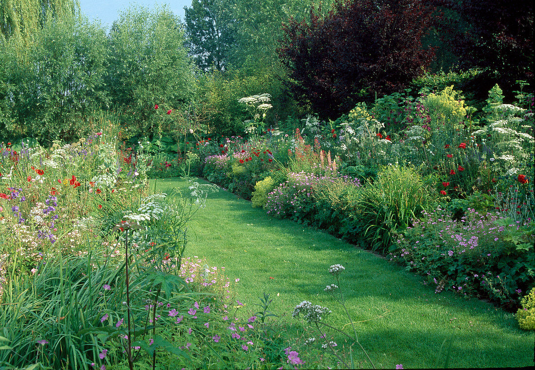 Lawn path between flowering summer beds