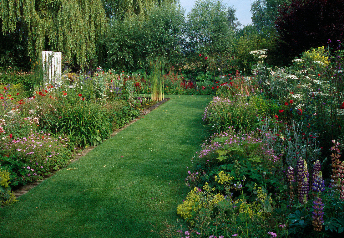 Lawn path between colourful flowering perennial beds