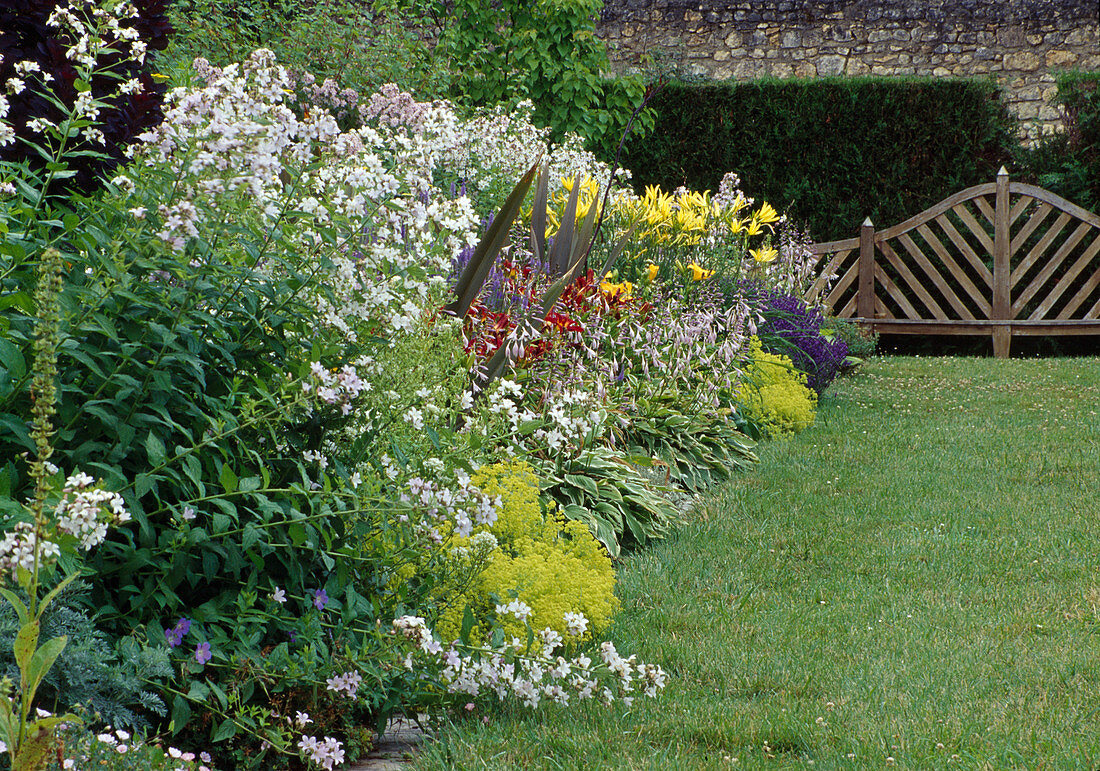 Staudenbeet: Campanula (Glockenblumen), Hosta (Funkien), Alchemilla (Frauenmantel), Hemerocallis (Taglilien)