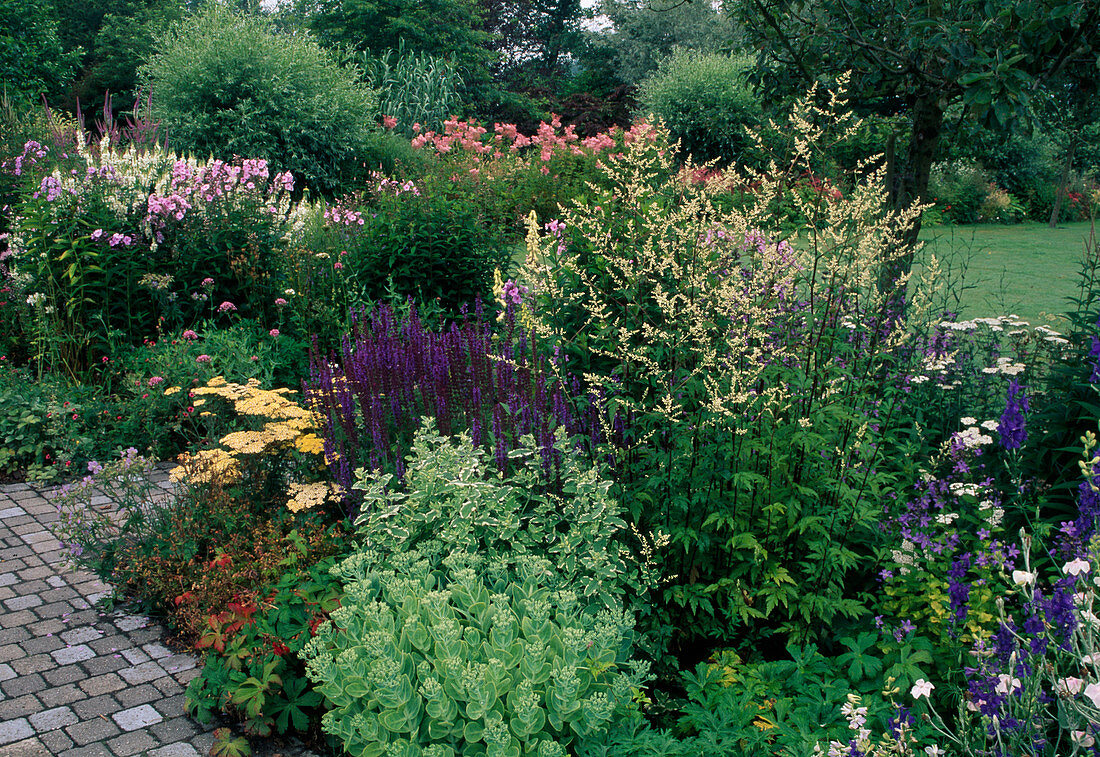 Staudenbeet: Salvia nemerosa (Steppensalbei, Ziersalbei), Sedum telephium (Fetthenne), Achillea (Schafgarbe), Phlox (Flammenblumen), Filipedula (Spierstauden)