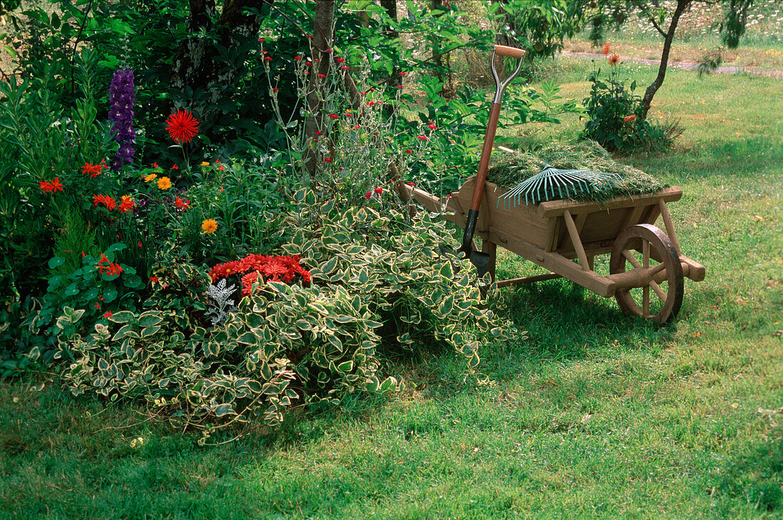 Kleines Blumenbeet neben Holzschubkarre mit Rasenschnitt, Laubrechen und Spaten