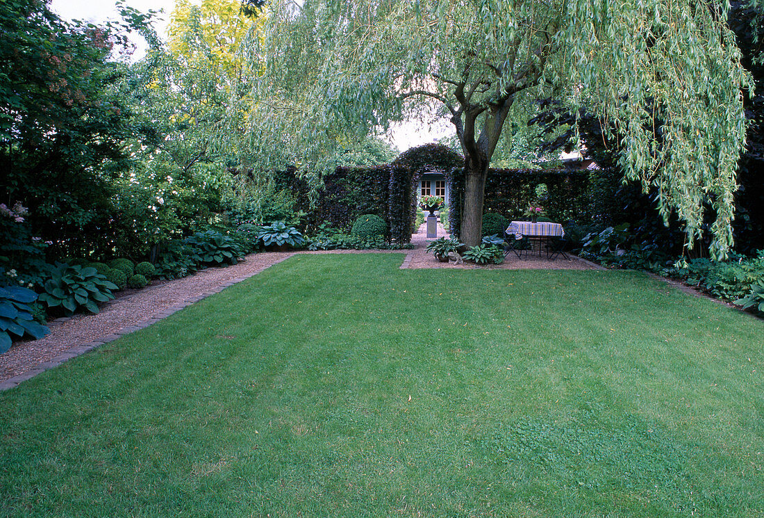 Rasen eingefaßt mit Granitsteinen, Salix alba 'Tristis' (Trauerweide), Sitzgruppe im Schatten auf Kiesterrasse, Hecke mit Torbogen als Durchgang
