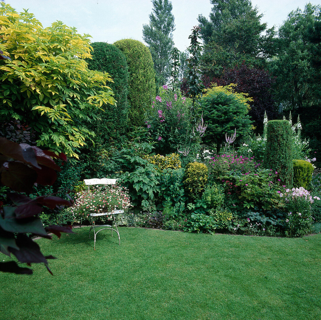 Garden chair on lawn in front of shrub bed with conifers