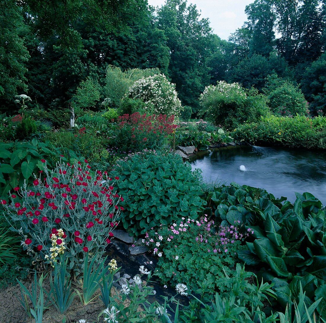 Beds with perennials framing the pond: Lychnis coronaria (coneflower), Sedum telephium (stonecrop), Geranium (cranesbill), Bergenia (bergenia), Centranthus ruber (spurge)