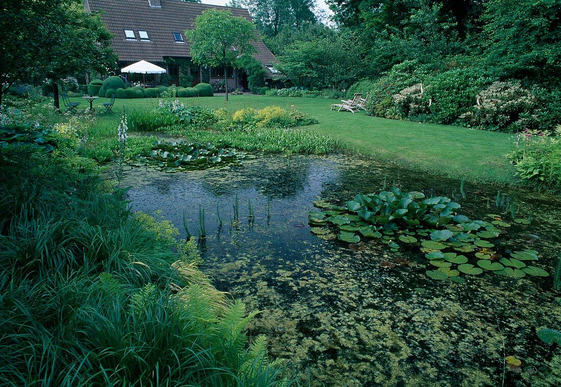 Großzügige Gartenanlage mit Naturteich