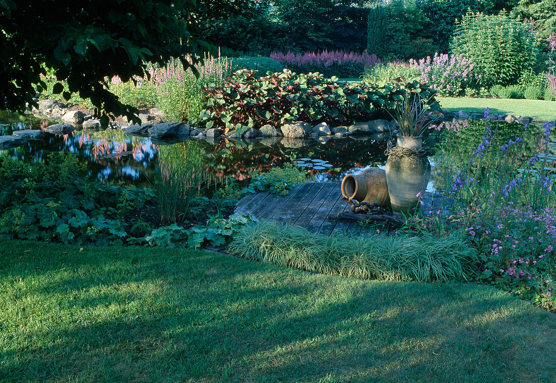 Teich mit kleinem Holzdeck, als Uferbepflanzung Carex (Seggen), Alchemilla (Frauenmantel), Campanula (Glockenblumen), Ligularia dentata (Purpur-Greiskraut), Lythrum (Blutweiderich), hinten Astilbe (Prachtspiere)