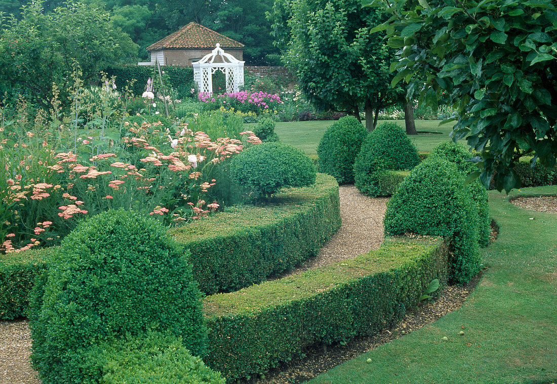 Gravel path between hedges and cones of Buxus (box), perennial beds with Achillea millefolium (yarrow), Phlox paniculata (flame flowers) in front of white pavilion