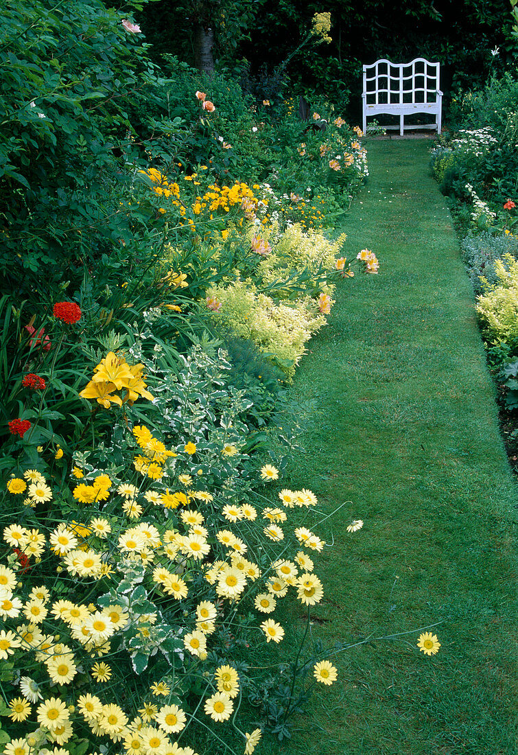 Anthemis 'E C Buxton'(Färberkamille), Mentha variegata (Ananasminze), Lilium (Lilien), Origanum 'Aureum' (Gold-Oregano), Rasenweg führt zu weisser Bank