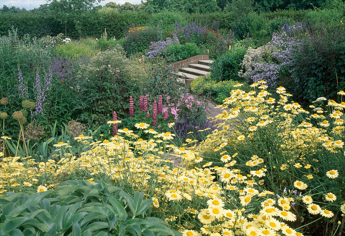 Stairs and path between flowering shrub beds