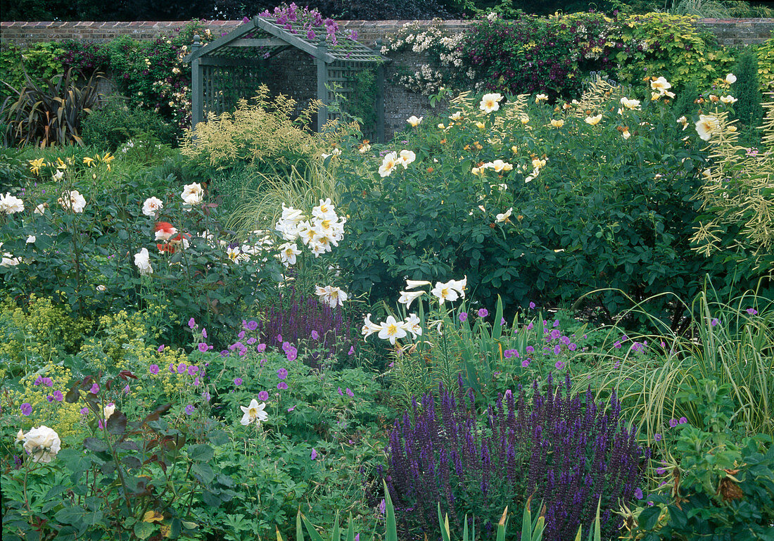 Lush border with perennials and roses - Salvia nemorosa (ornamental sage), Lilium longiflorum (lilies), Geranium (cranesbill), Rosa (roses), Aruncus dioicus (forest honeysuckle), small arbour on wall