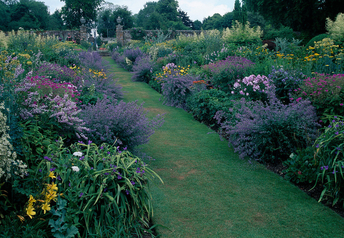 Lawn path between perennial beds: Nepeta (catmint), Tradescantia (three-master), Geranium (cranesbill), Hemerocallis (daylilies) and Phlox (flame flowers)