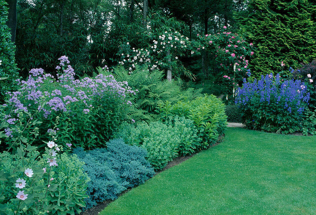 Lushly planted perennial beds and English lawn in garden
