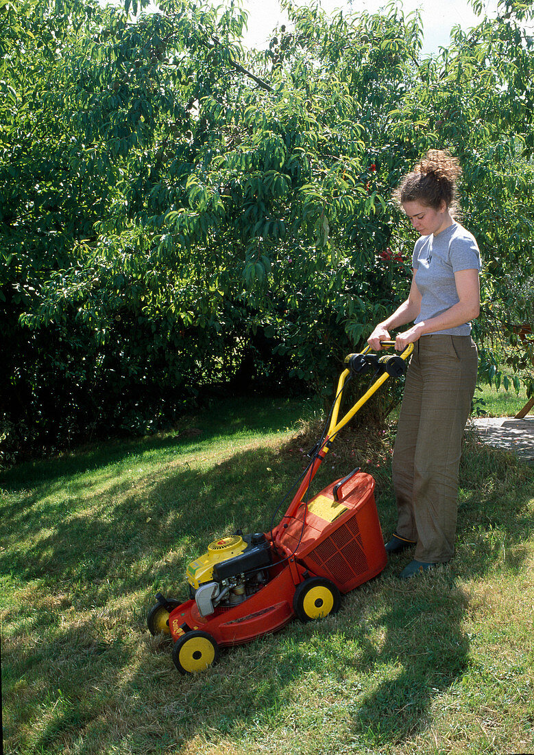 Mowing the lawn