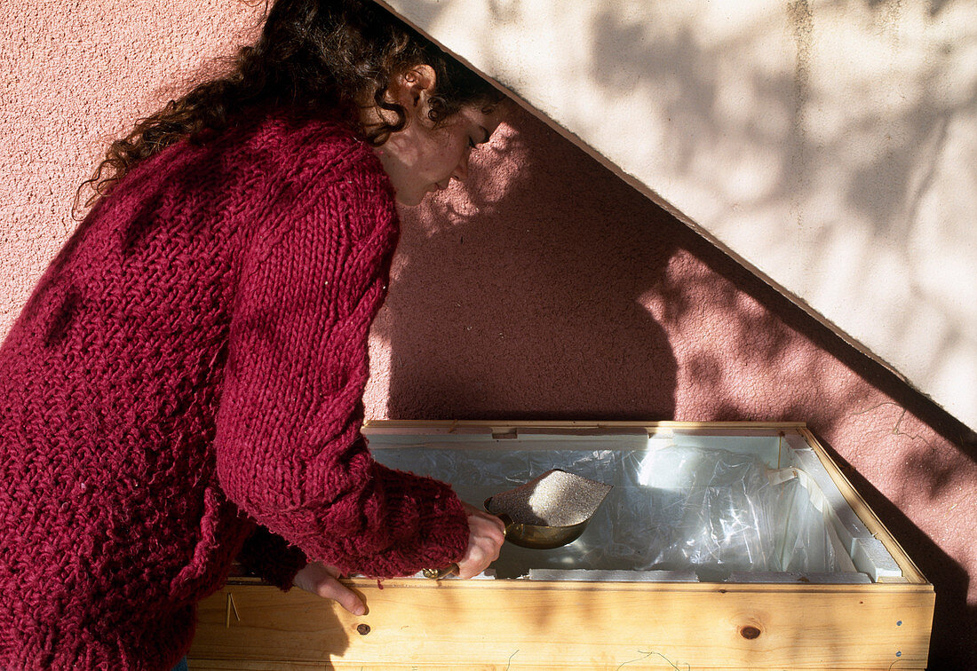 Storing vegetables 2nd step: Fill sand between individual layers of vegetables in a wooden box (lined with polystyrene and foil) (2/3)