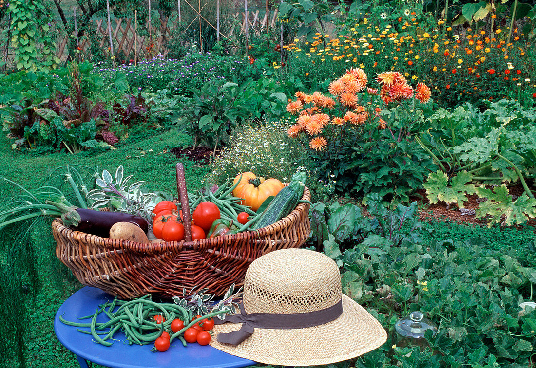 Basket with freshly harvested vegetables on the table
