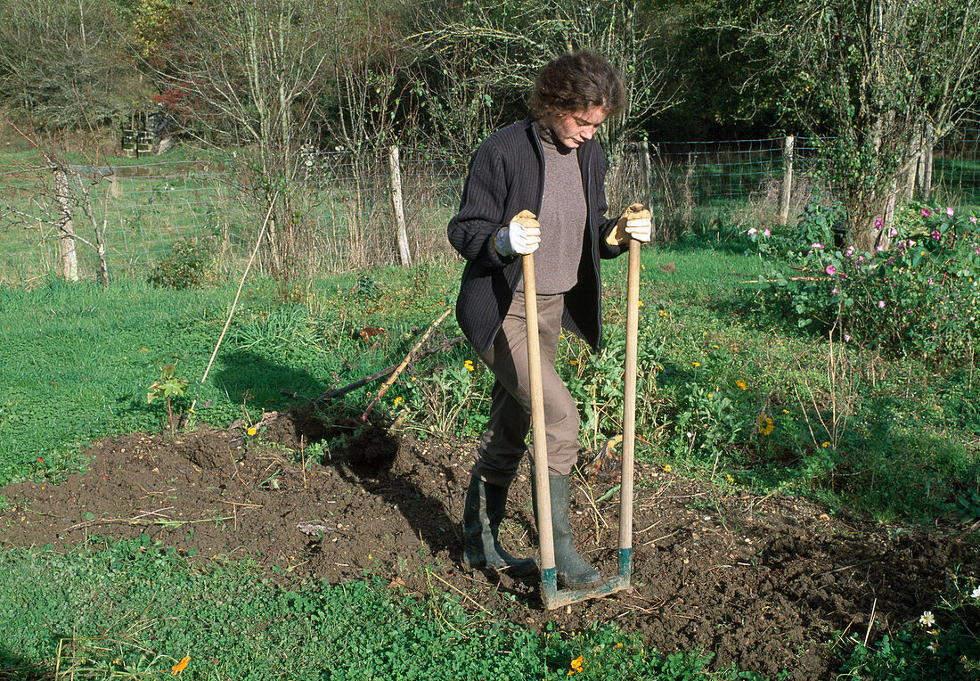 Harvesting a bed with annuals 3rd step: Loosening up the empty bed with a special fork (3/3)