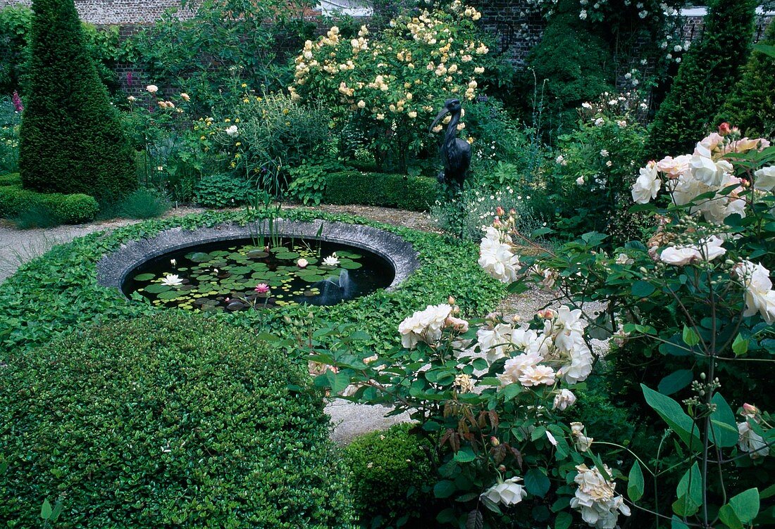 Small walled pond with water lilies (Nymphaea) surrounded by ivy (Hedera helix) and framed with roses 'Penelope' and 'Buff Beauty'