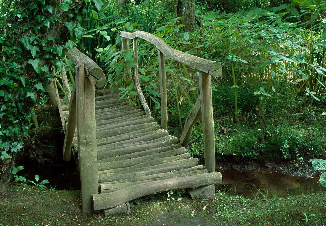 Small wooden bridge over a brook