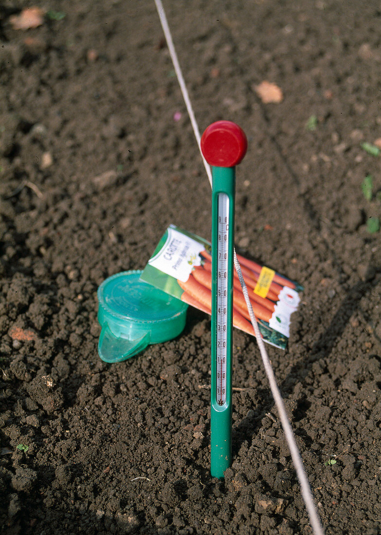 Daucus carota (Möhrenaussaat), Bodenthermometer, Saatschnur, Samen, Sähhilfe