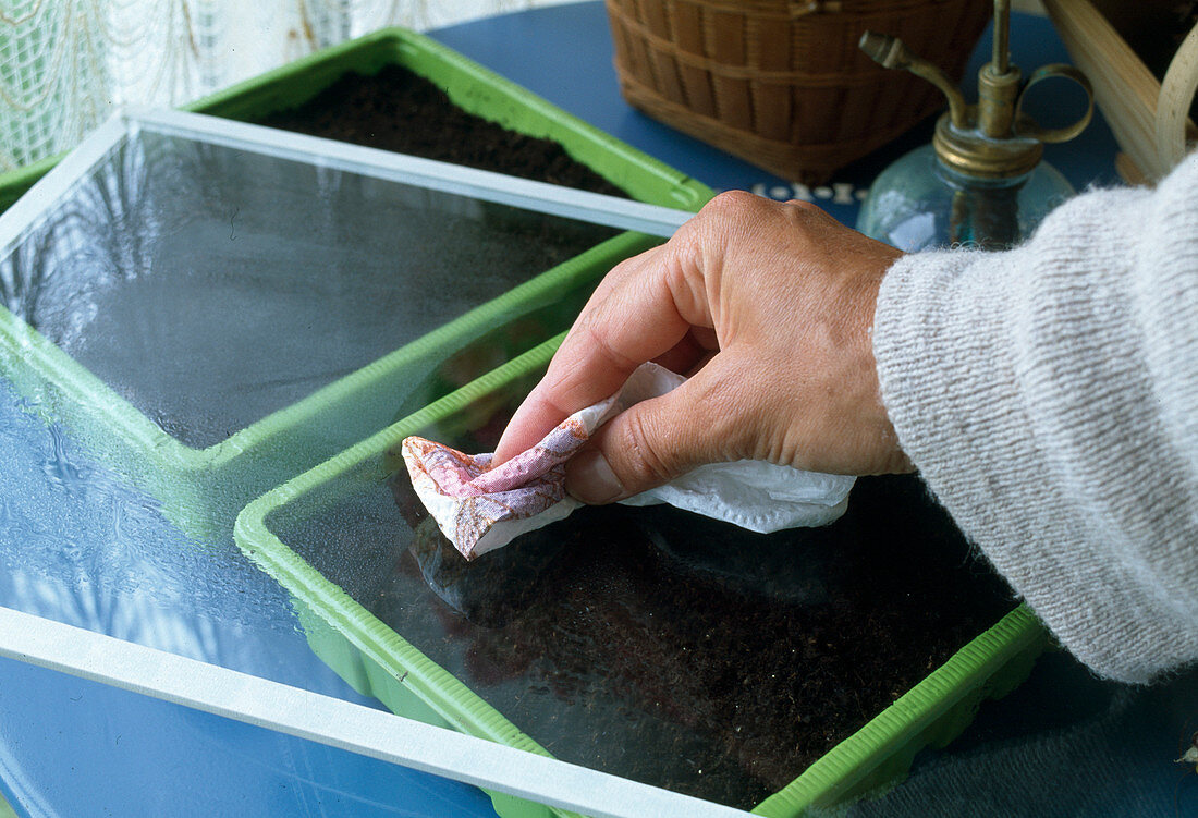 Vegetable sowing Cleaning the cover (7/8)