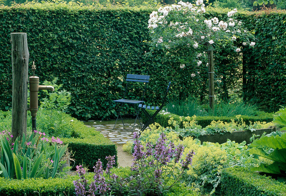 Formaler Garten mit Schwengelpumpe und Hochstammrose, Beete eingefaßt mit Buxus (Buchs) Hecken, Alchemilla (Fauenmantel), blaue Stühle