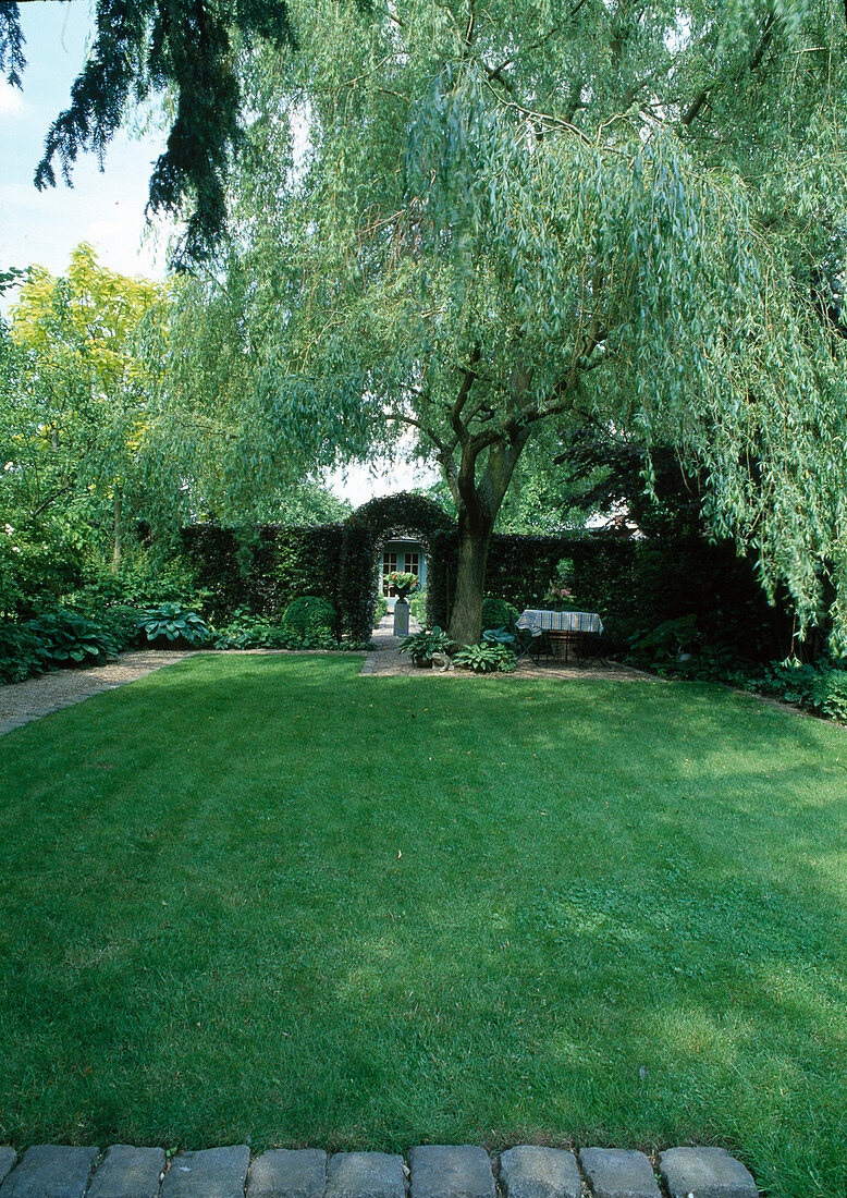 Lawn edged with granite stones, Salix alba 'Tristis' (weeping willow), seating group in the shade on gravel terrace, hedge with archway as passageway