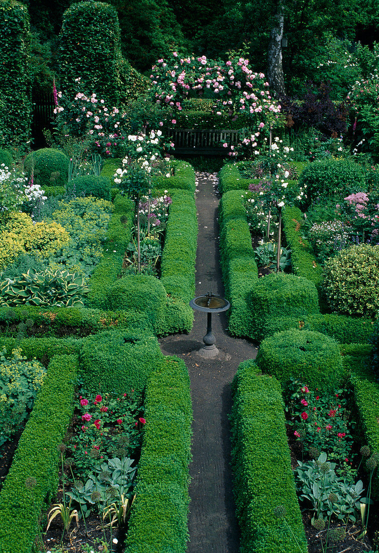 Formaler Garten eingefaßt mit Buxus sempervirens (Buchs) und Rose 'Constance Spry' als Rosenbogen über der Bank