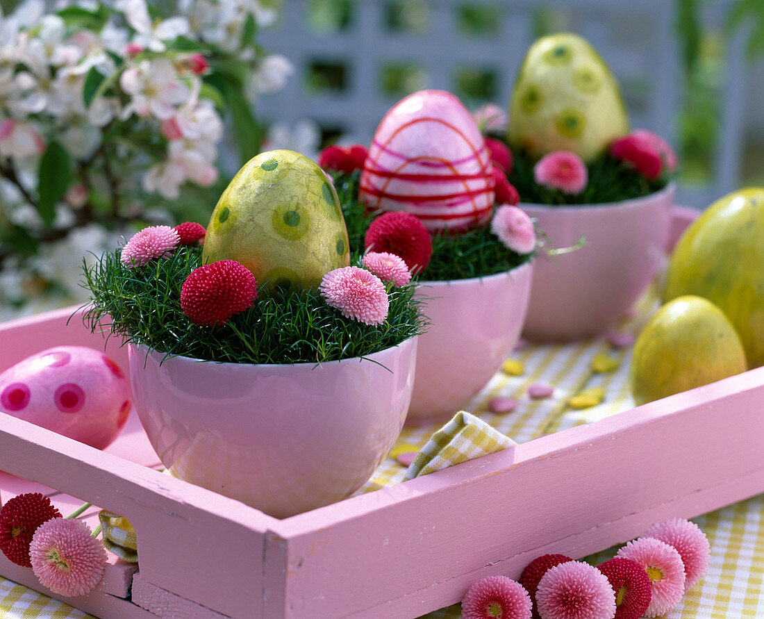 Pink pots with Sagina (star moss)