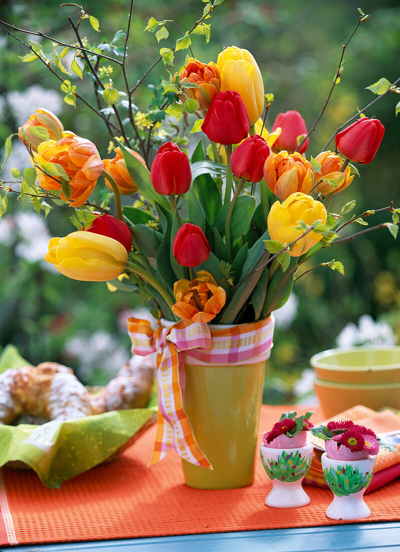 Tulipa (yellow, orange, red tulips)