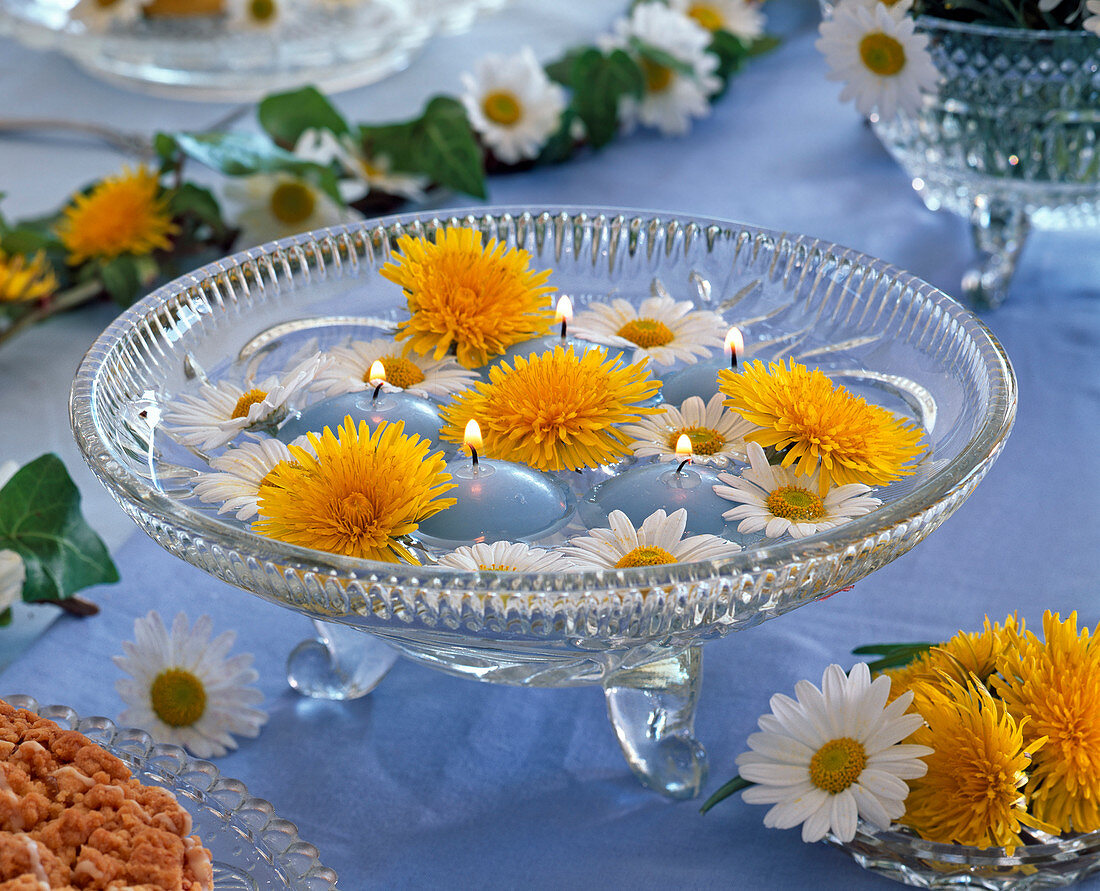 Kristallschale mit Taraxacum (Löwenzahn)