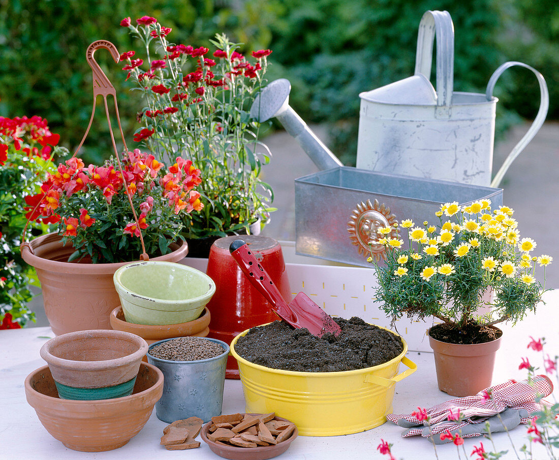 Planting utensils