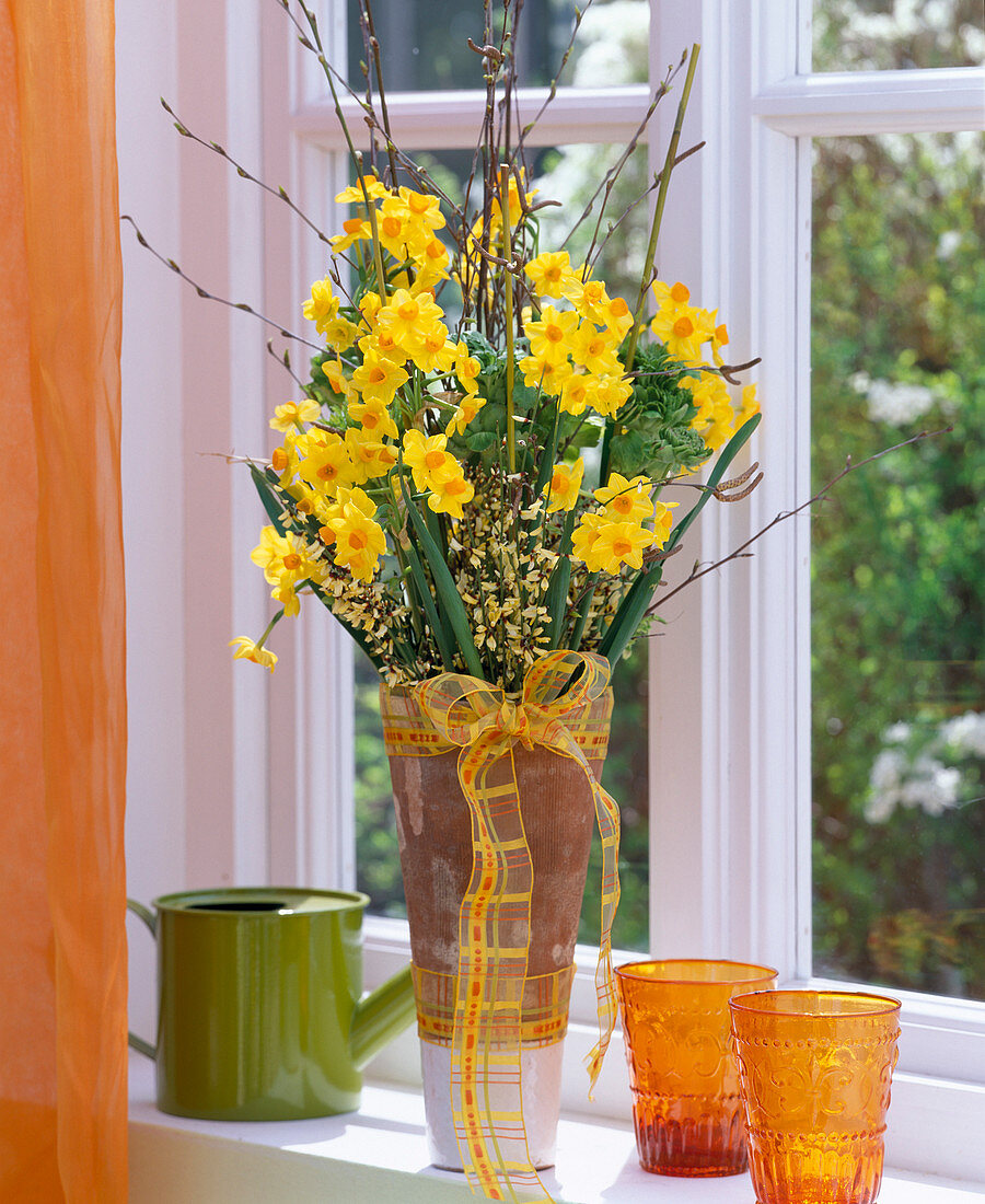 Narcissus jonquilla 'Martinette' (Narzissen)