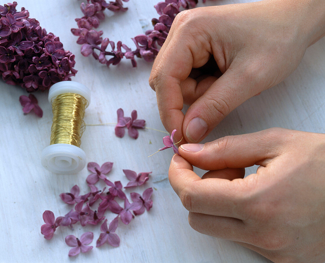 Heart of lilac flowers