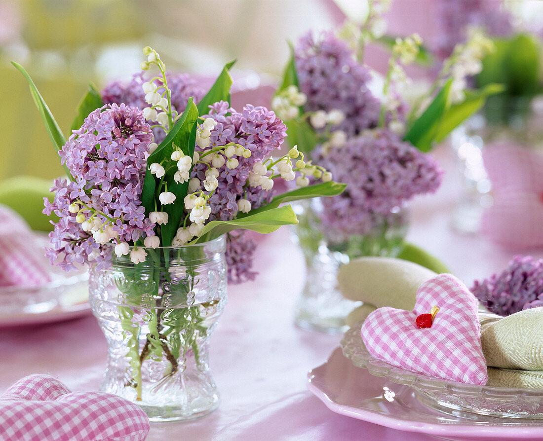 Syringa (lilac)