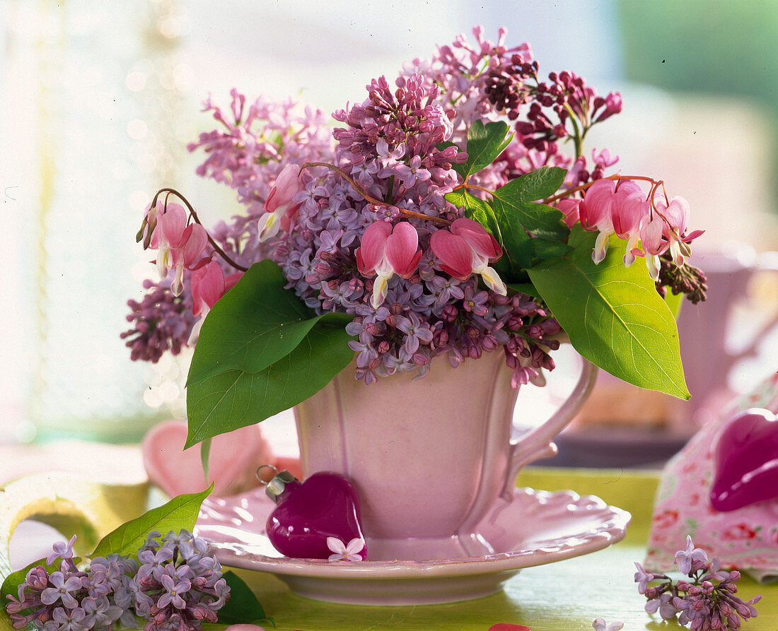 Pink cup with Syringa (Lilac)