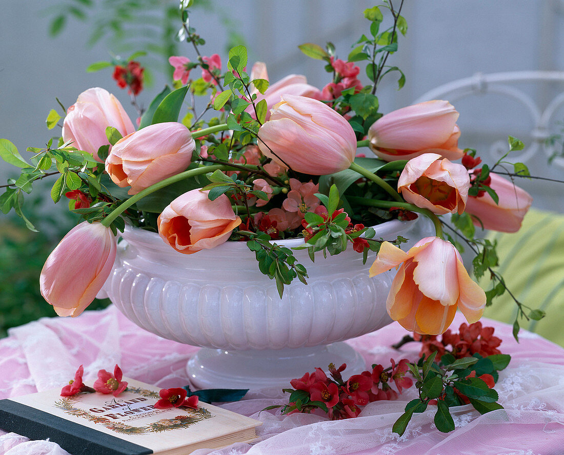 White bowl with Tulipa (salmon tulips)