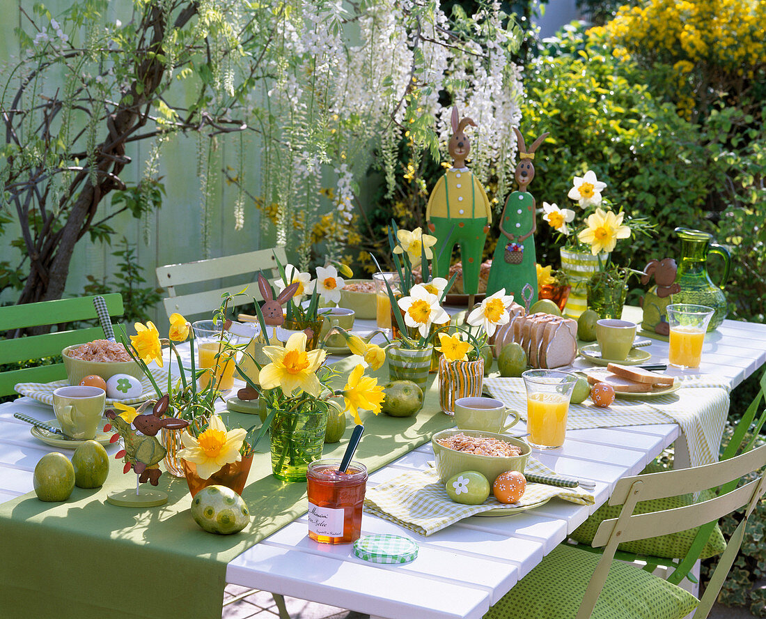 Breakfast table with Narcissus (Daffodil)