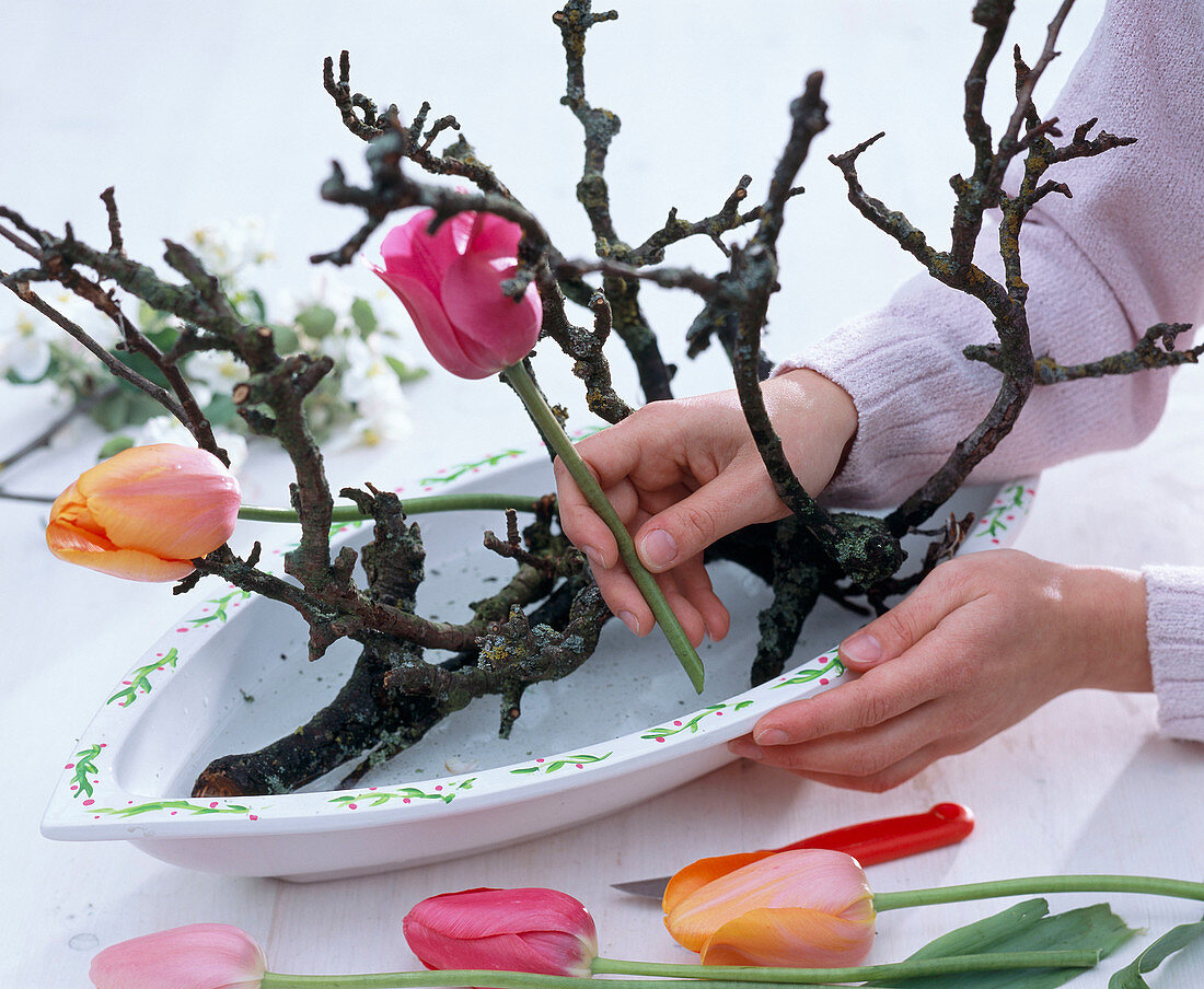 Arrangement of tulips and apple blossoms