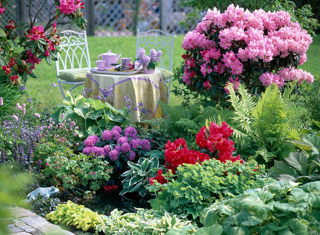 Rhododendron, Alchemilla (lady's mantle)