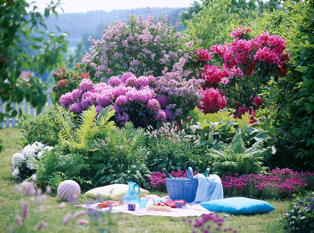 Picnic area, Rhododendron