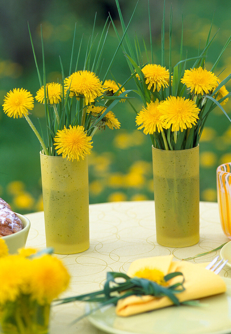 Taraxacum (dandelion)