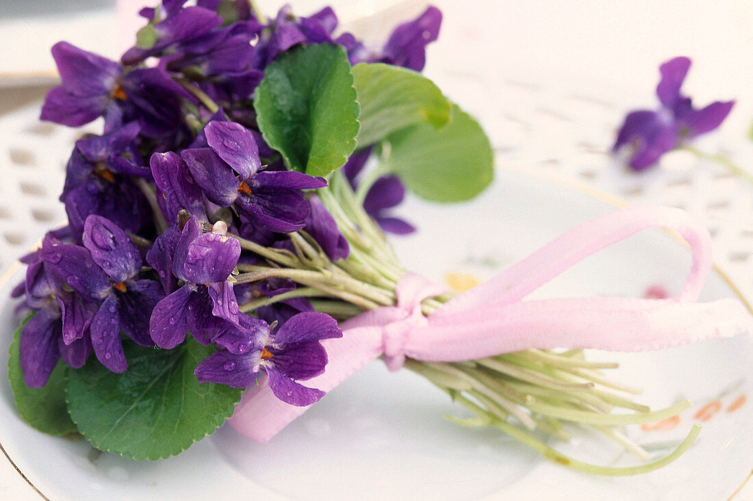 Viola odorata (scented violet) as table decoration