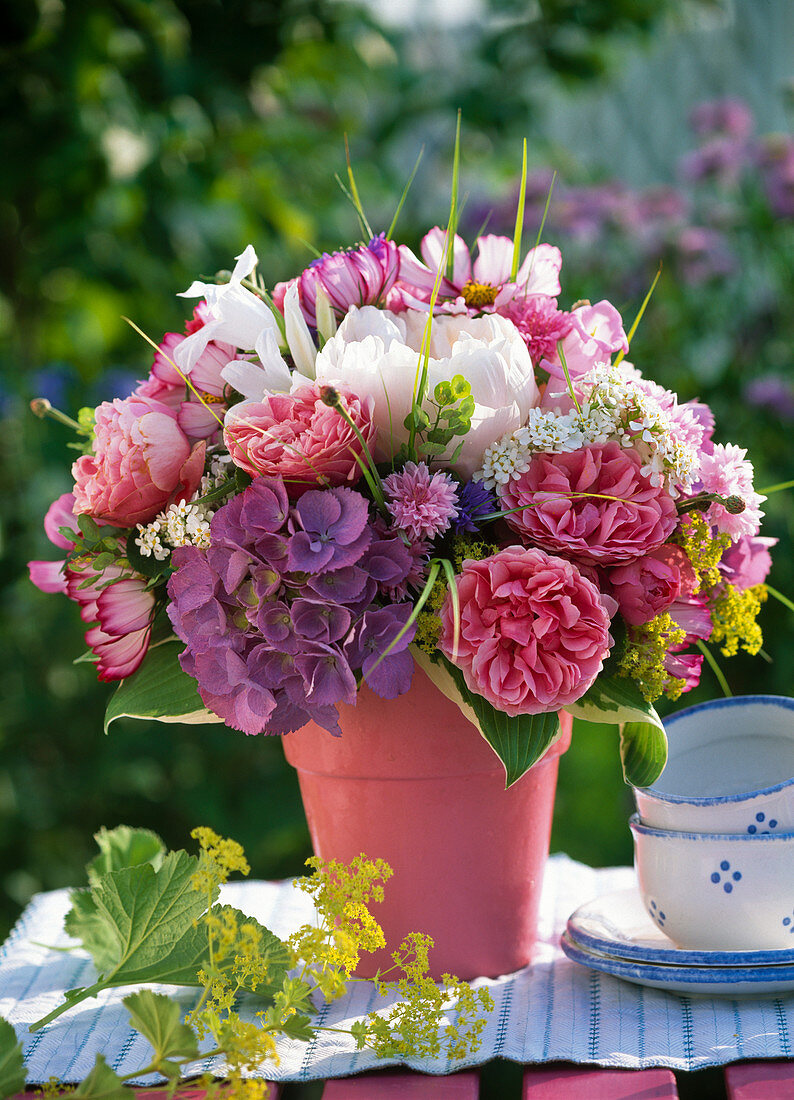 Paeonia (Peony), Rosa