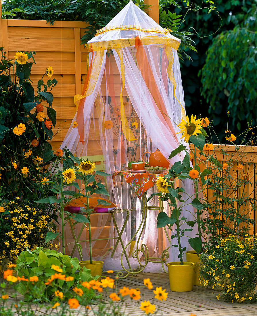 Balcony with sunflowers and seating area under mosquito net