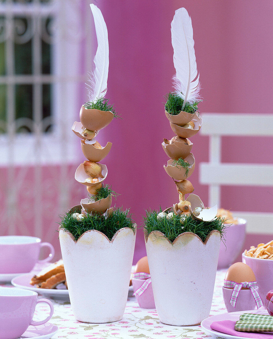 Sagina (mast weed), spiked alliums (bulbs)