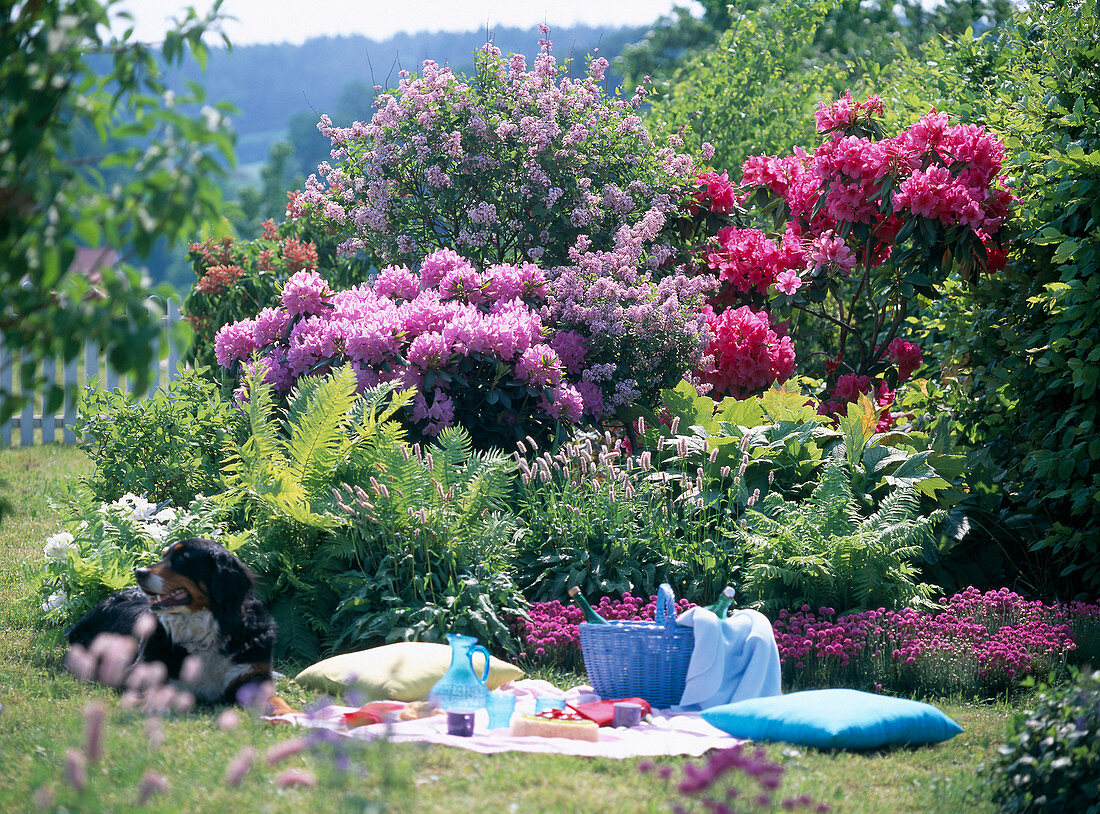 Picnic area