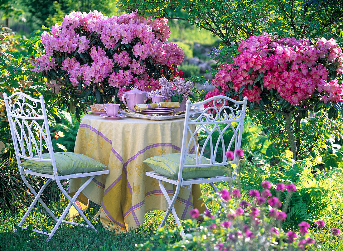 Laid coffee table in the shade